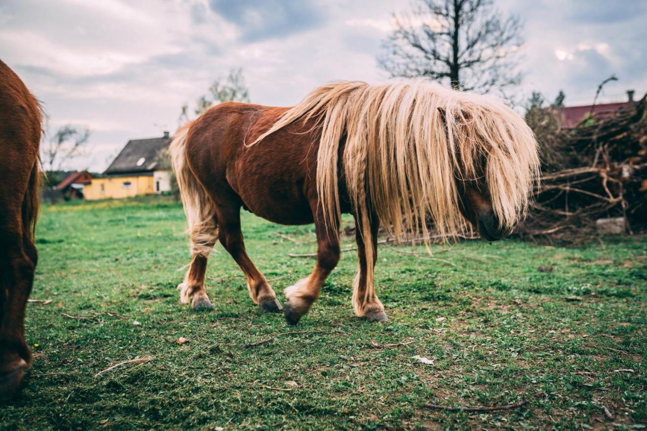 Sudeckie Chaty Kudowa-Zdrój Exterior foto